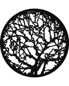 Spring Branches