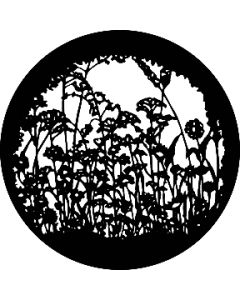 WildFlowers