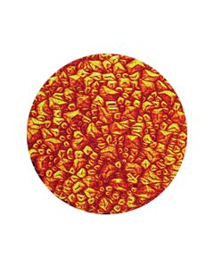 Red Sparkelite