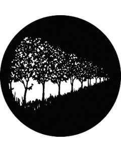 Row of Trees