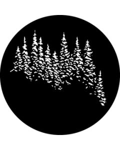 Evergreens