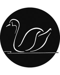 Swan