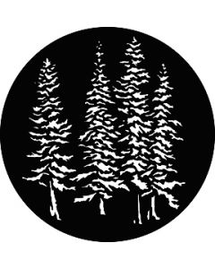 Evergreen Trees