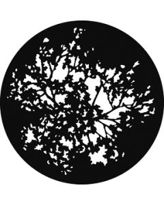 Summer Branches