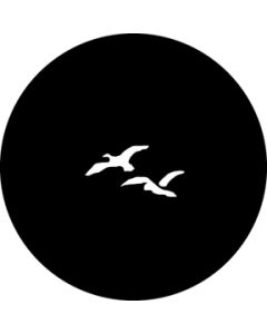 Fairytale Birds