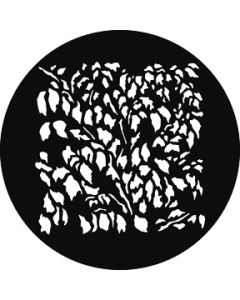Leaf Breakup SQ