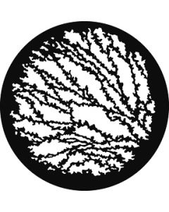 Vines