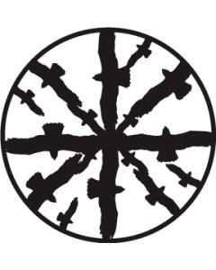 Circling Birds A