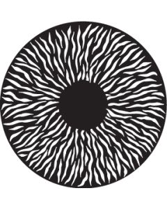 Radial Animation