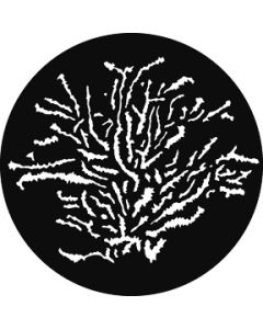 Undersea Foliage