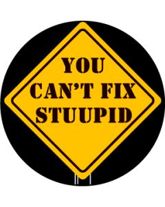 You Can't Fix Stupid