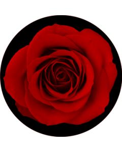 Red Rose
