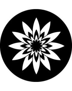 Petal Explosion