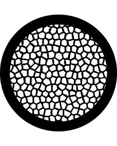 Reptilian Skin