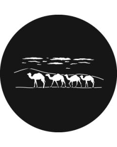 Camel Train