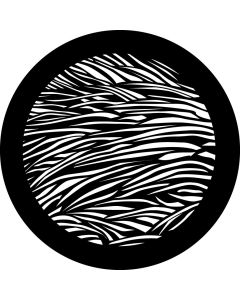 Fur Texture
