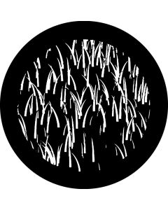 Grass Growing