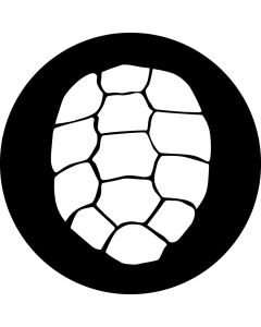 Turtle Shell