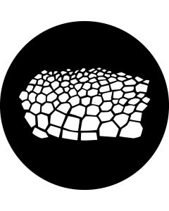 Turtle Skin