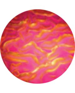 Magenta Ripple