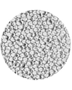 Coalescing Bubbles