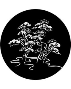 Bonsai