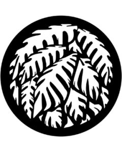 Jungle Palms