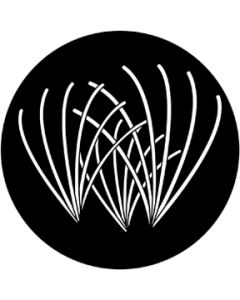 Lines 1