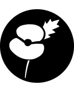 Poppy