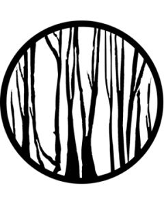 Three Sisters Birch 1