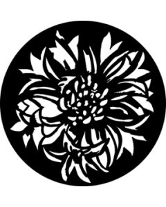 Bloomin Flowers