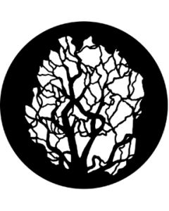 Tree 5