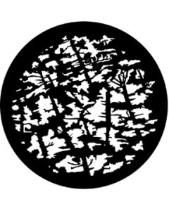 Pine Branches