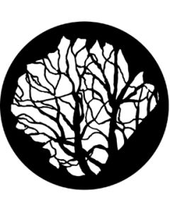 Tree 6