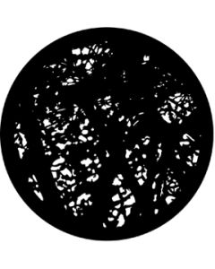 Dense Branches
