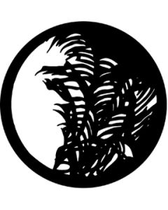 Palm Leaf
