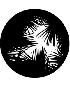 Dense Palm