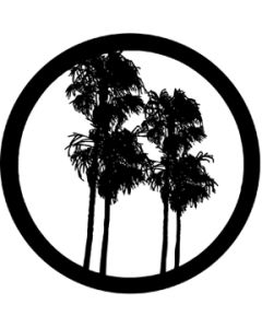 Double Palm