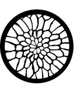 Soft Web