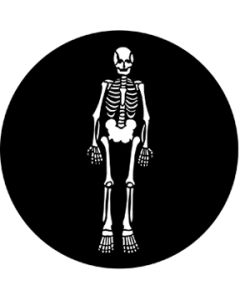 Skeleton