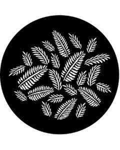 Ferns