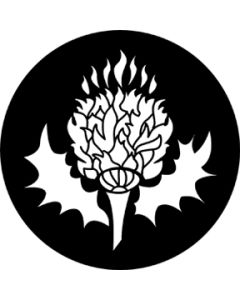 Thistle