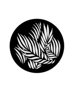 Palm