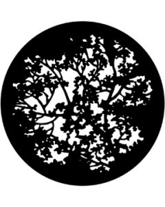 Blossoms (77774)