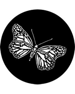 Moth