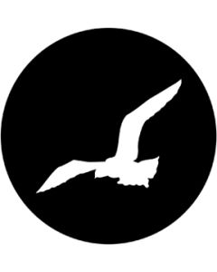 Gull