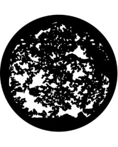 Summer Leaves