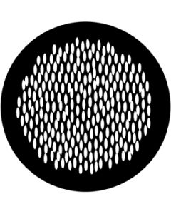 Lizard Skin