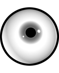Pupil
