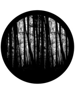 Blair Woods
